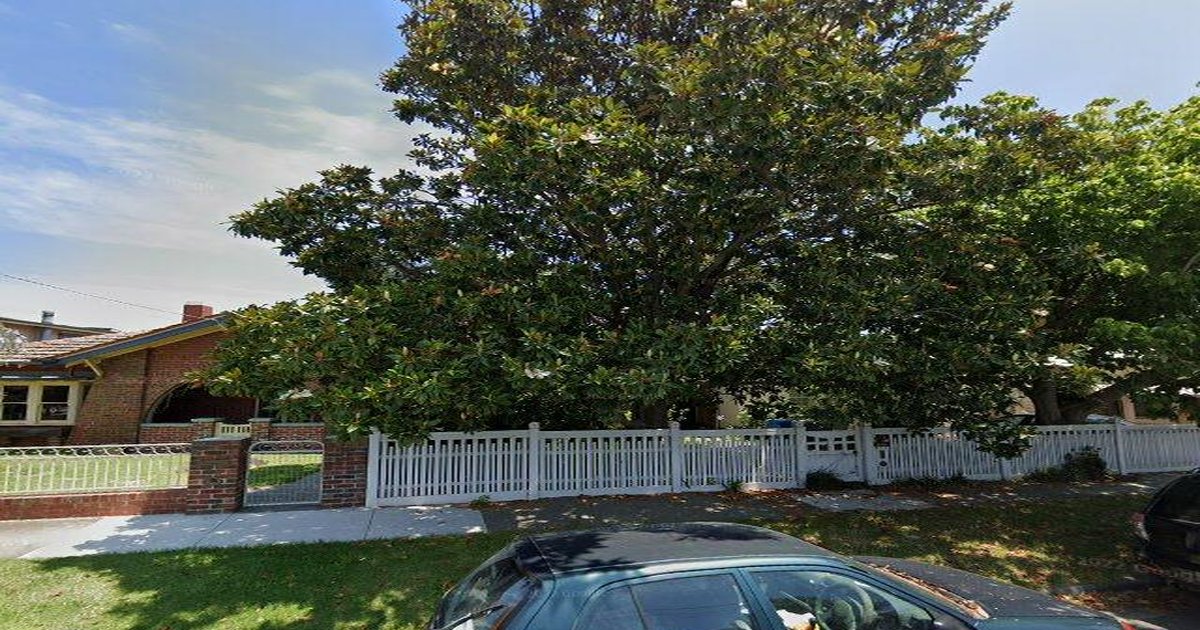 Pet-Friendly Hampton (2026) — Dog Parks, Cafes & Vets