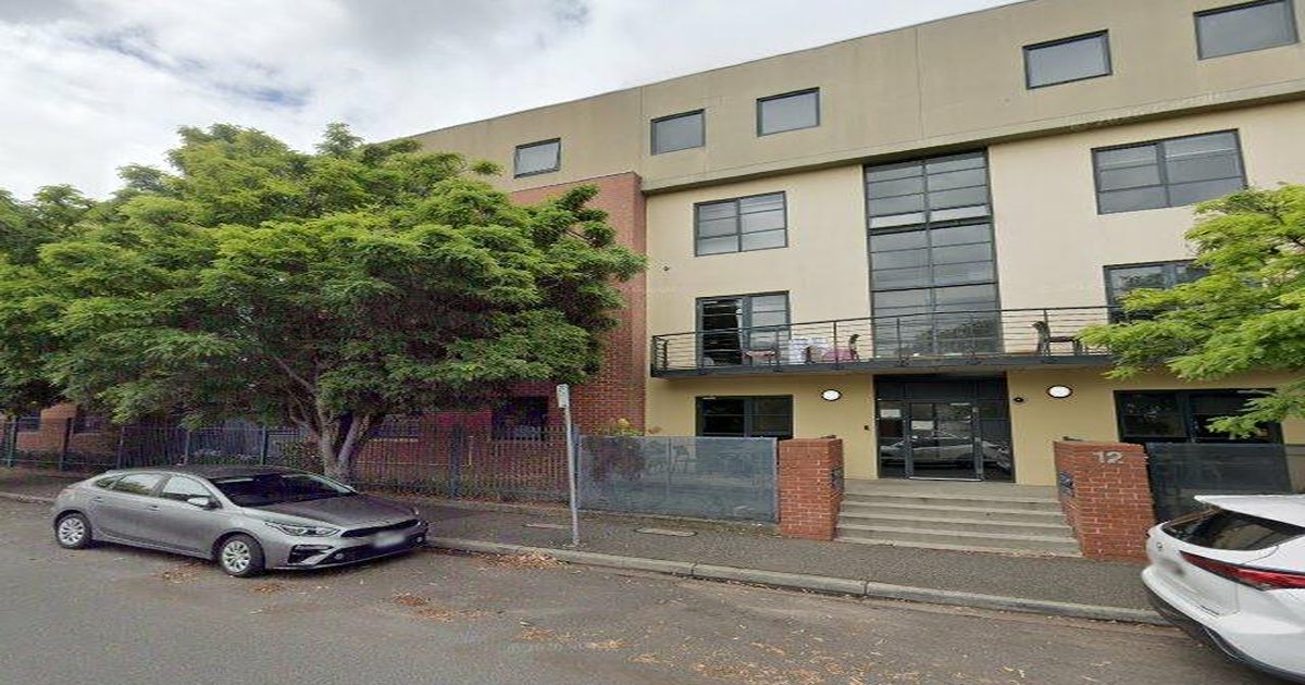 Best Dog Friendly Guide in Hawthorn Melbourne — 2026 Guide