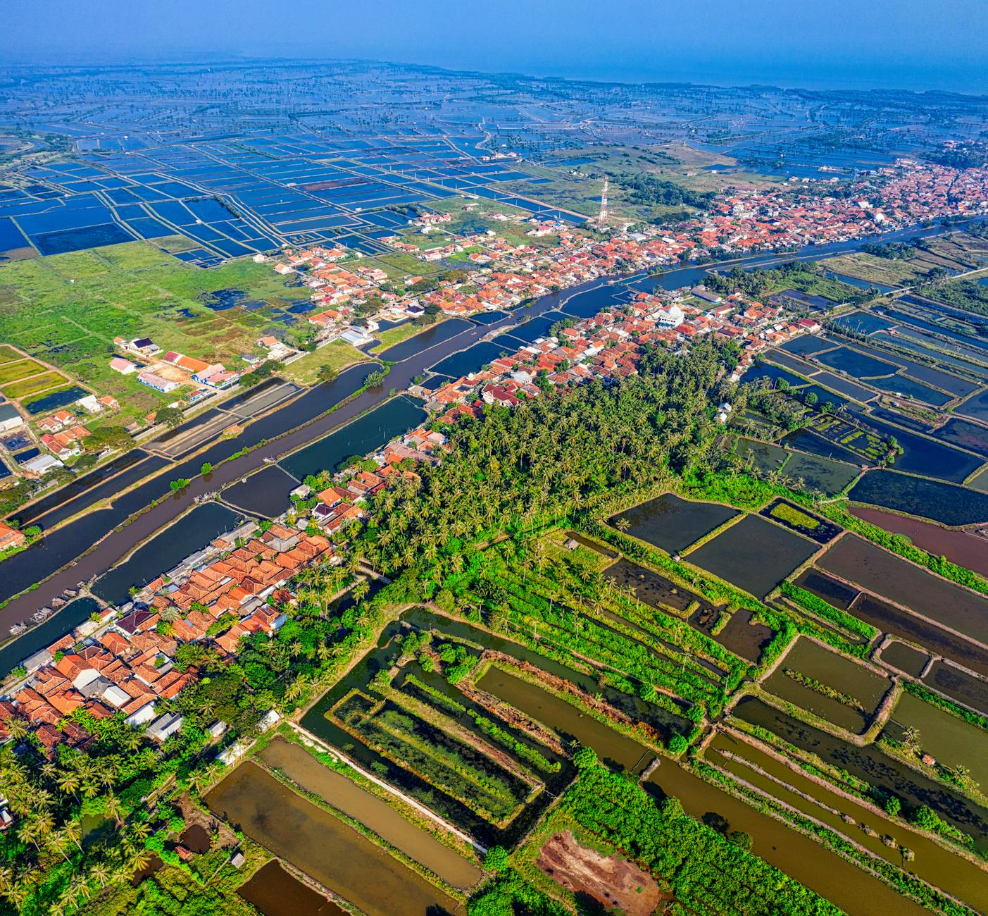 Hawthorn Honest Guide 2026: Leafy Streets & Private Schools