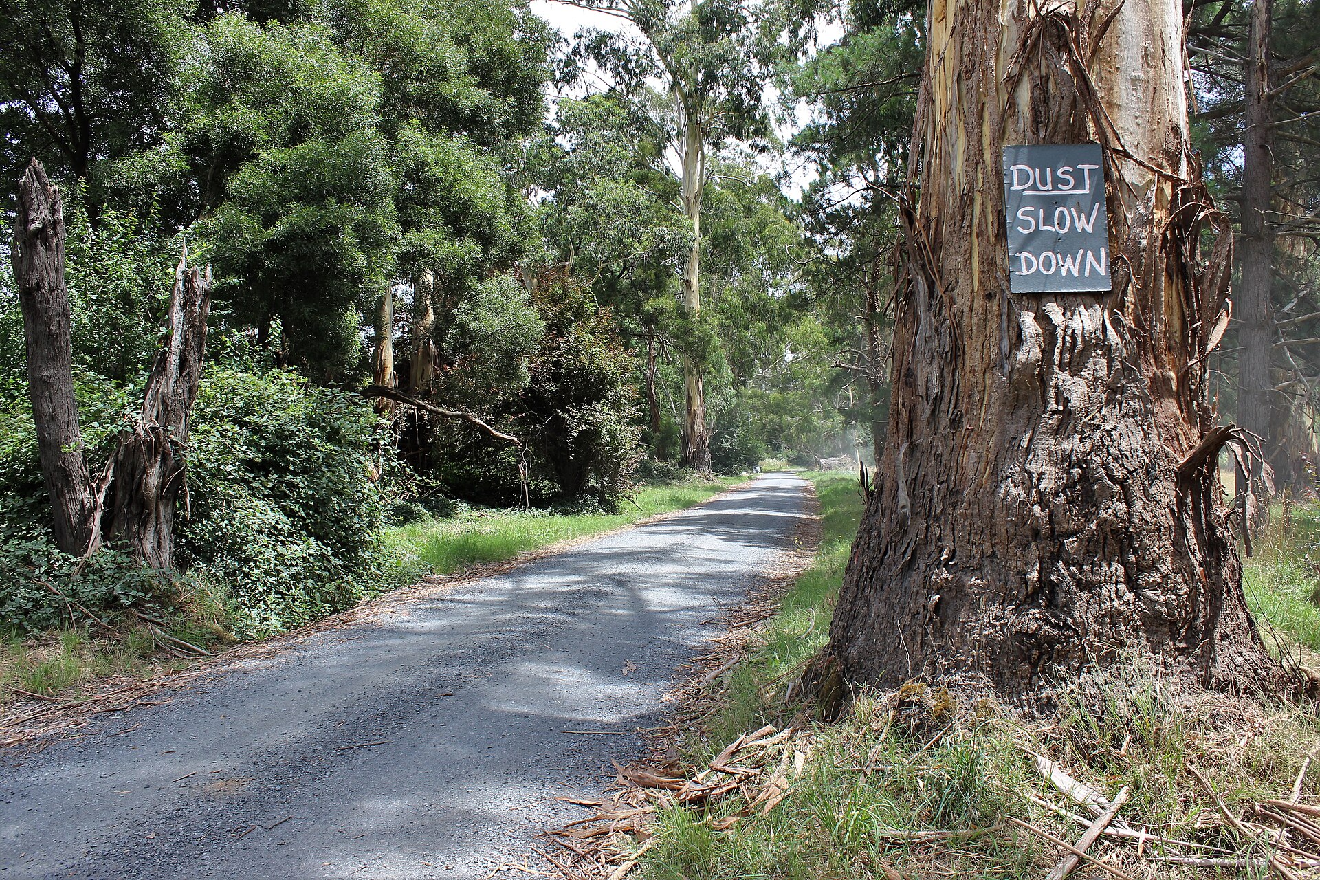 Is Healesville a Good Investment in 2026? Data-Backed Analysis