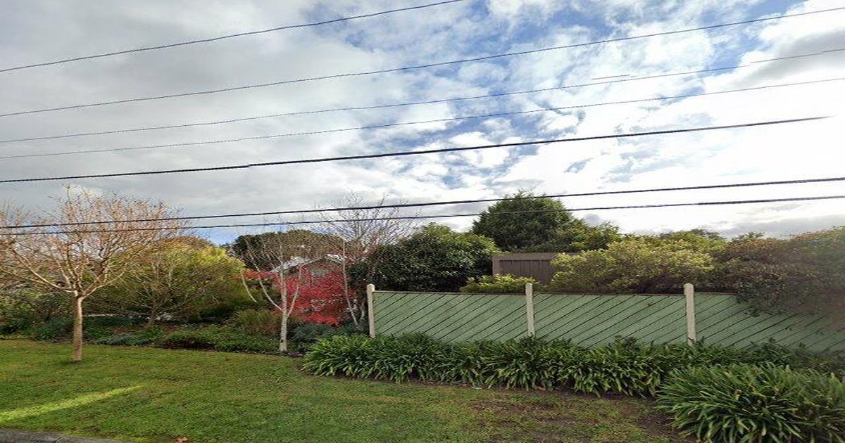 Best Dog Friendly Guide in Heathmont Melbourne — 2026 Guide