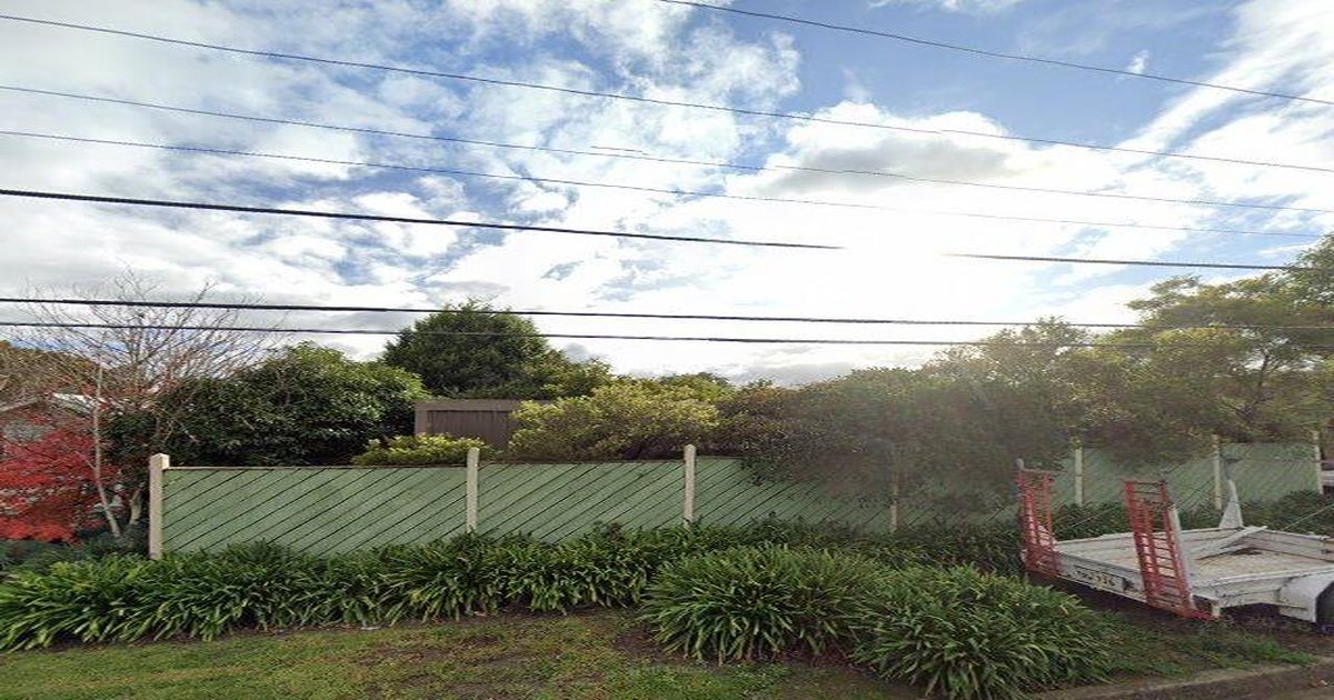 Pet-Friendly Heathmont (2026) — Dog Parks, Cafes & Vets