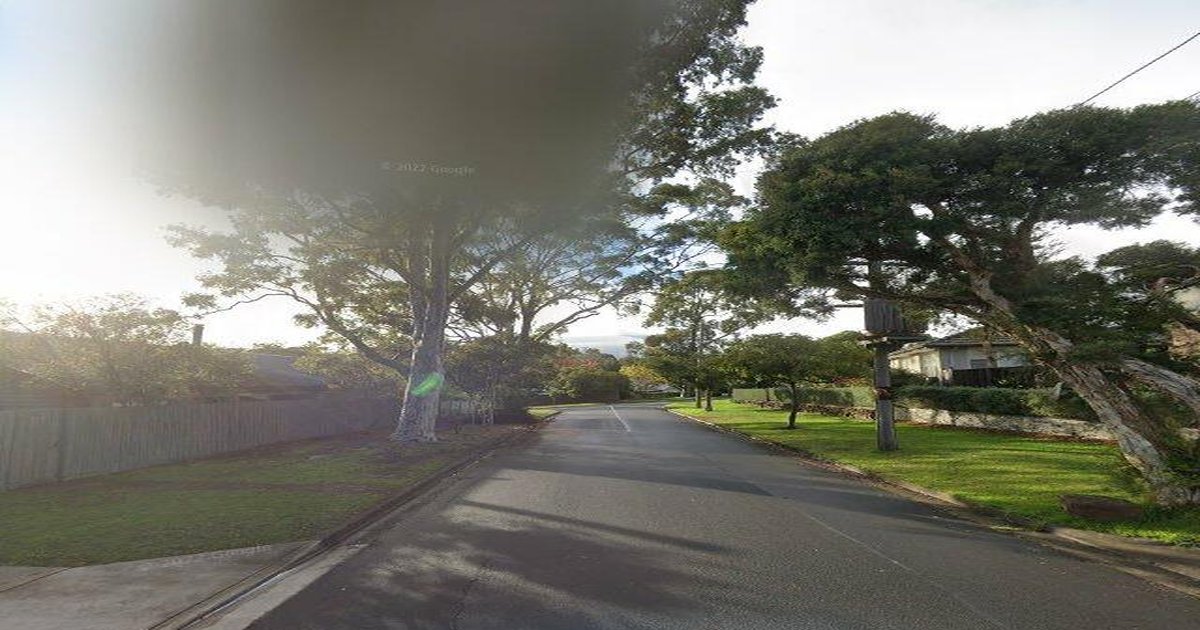 Is Heathmont Good for Young Professionals? (2026)