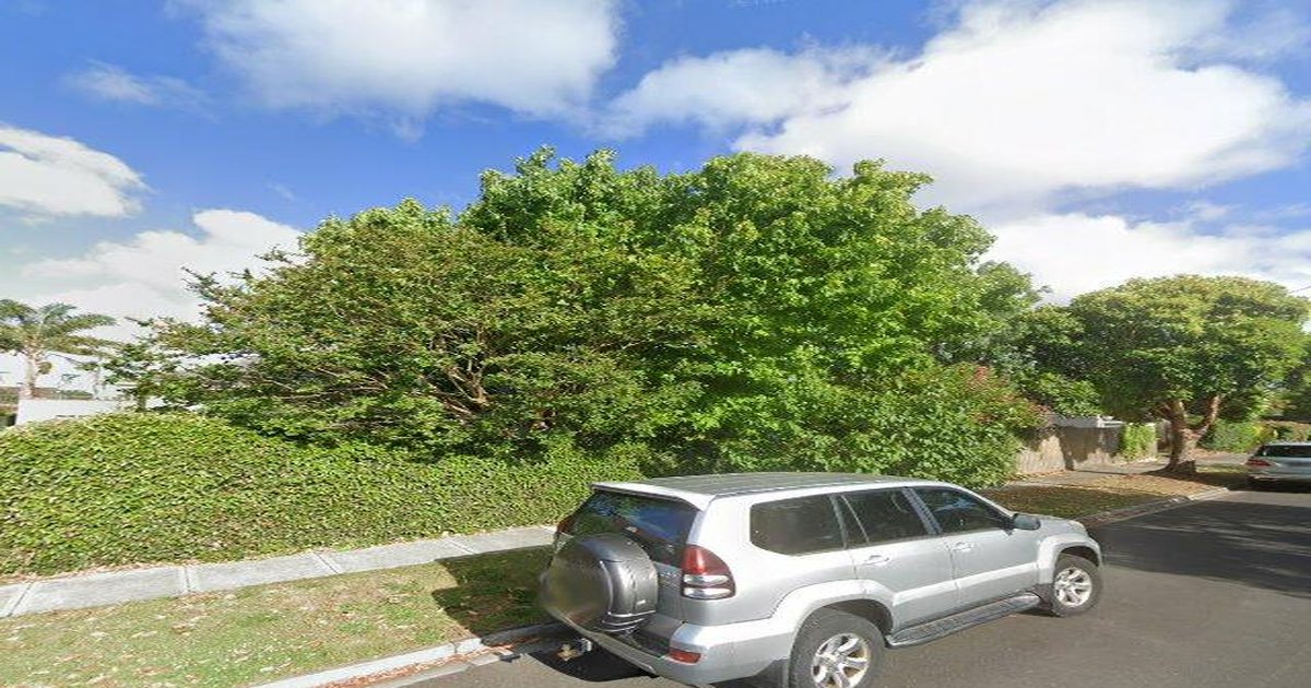 Hughesdale Council Services — Everything You Need