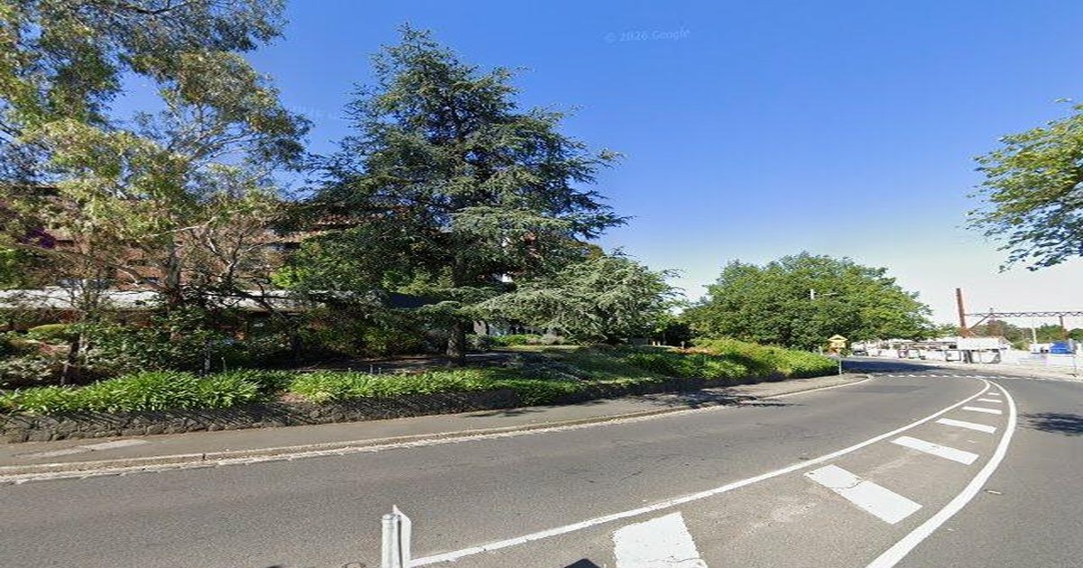 Ivanhoe Community Guide — Groups, Events, Culture