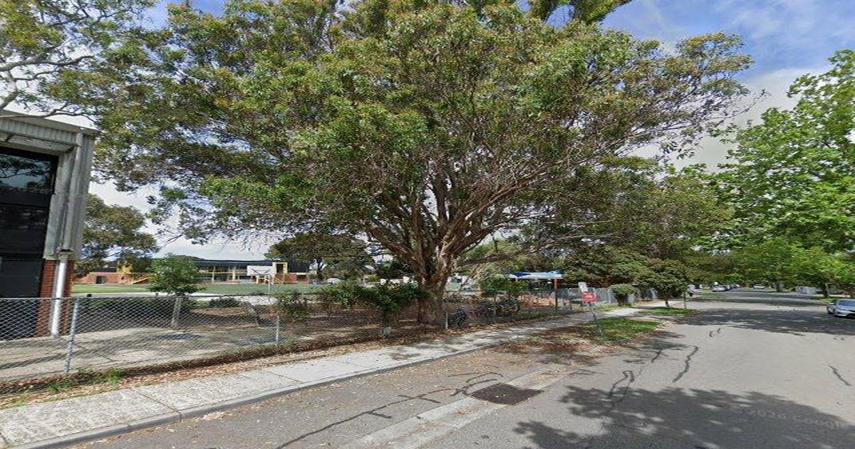 Is Ivanhoe Good for Families? Schools, Parks & Safety (2026)