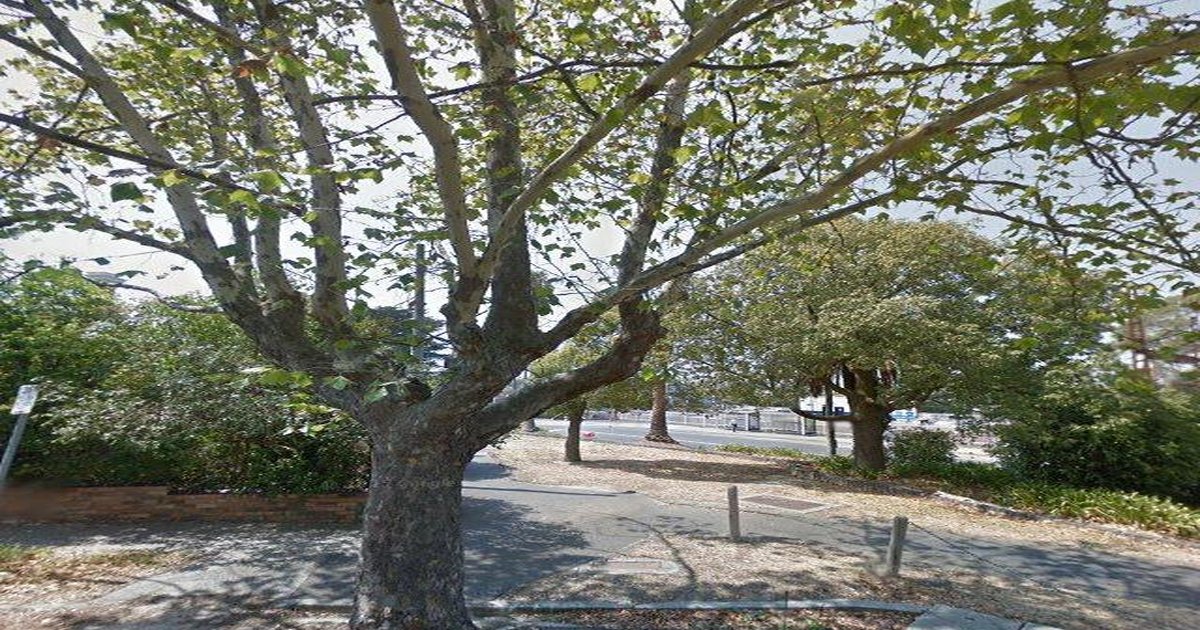 Parking in Ivanhoe — Rules, Tips, Free Spots