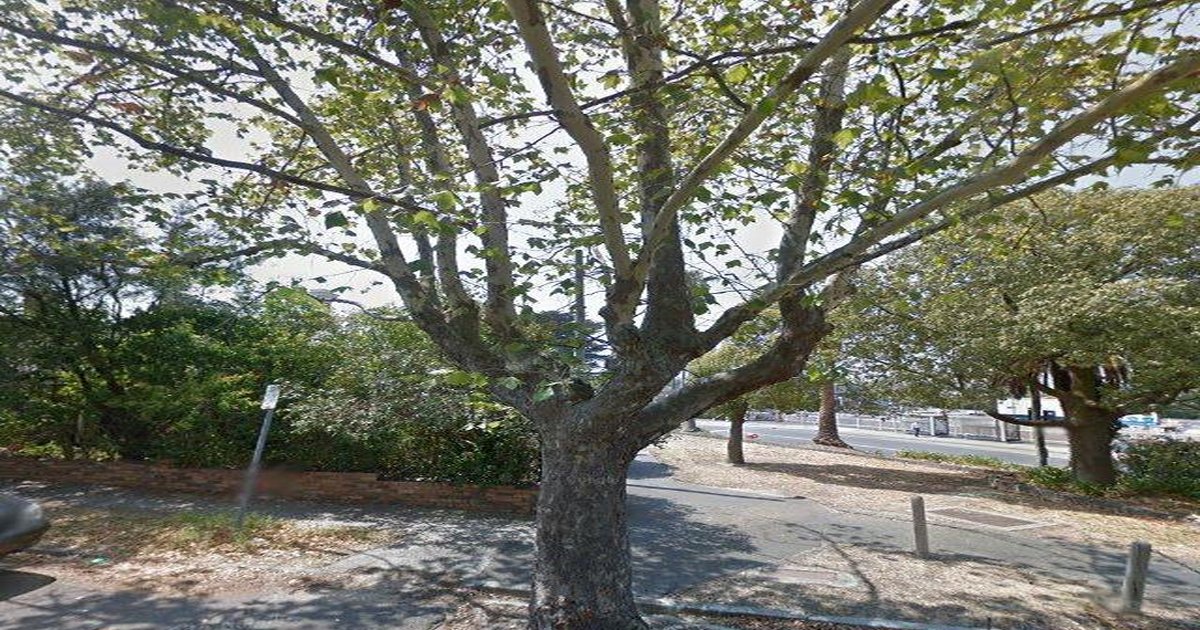 Is Ivanhoe Good for Young Professionals? (2026)