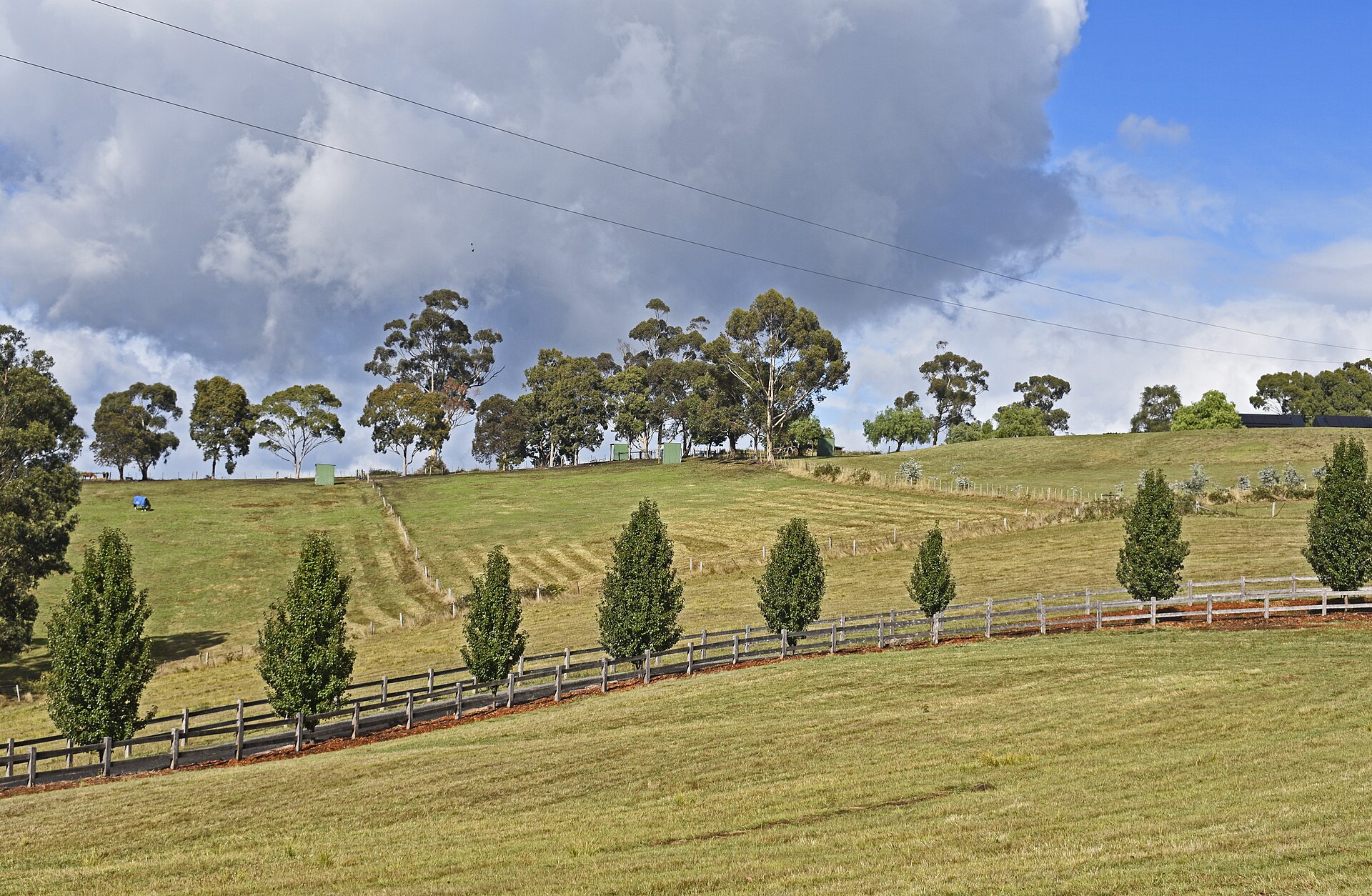 Kangaroo Ground Property Forecast 2026-2029: Where Prices Are Heading