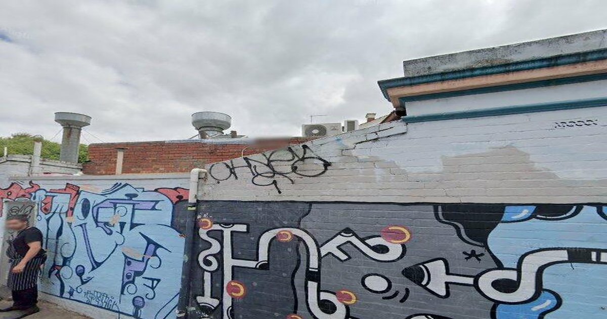 Best Dog Friendly Guide in Kensington Melbourne — 2026 Guide