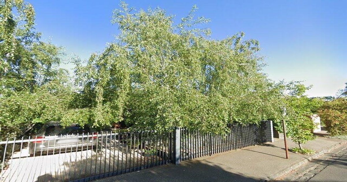 Running & Cycling in Kew