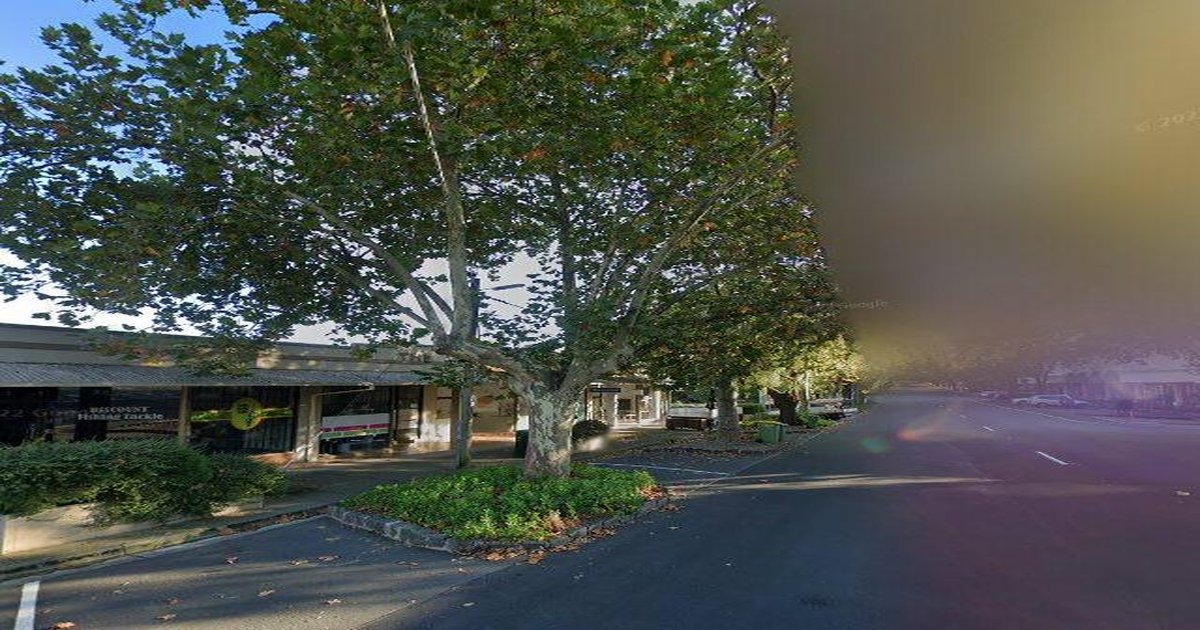 Best Dog Friendly Guide in Lilydale Melbourne — 2026 Guide