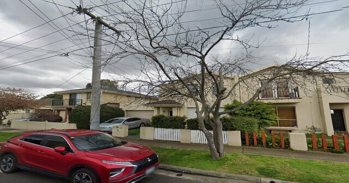 Best Dog Friendly Guide in Maidstone Melbourne — 2026 Guide