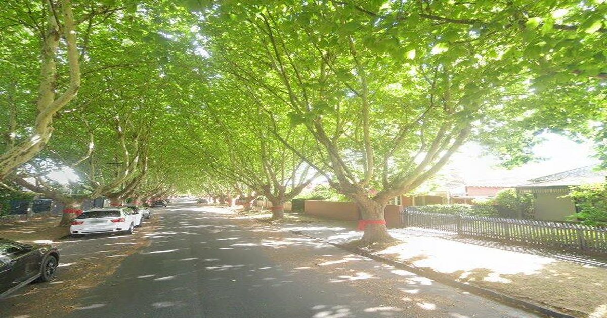 Healthcare in Malvern East — GPs, Specialists, Hospitals