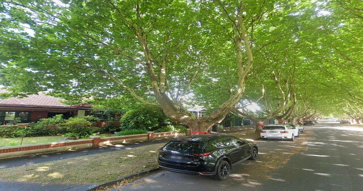 Libraries in Malvern East — Beyond Books