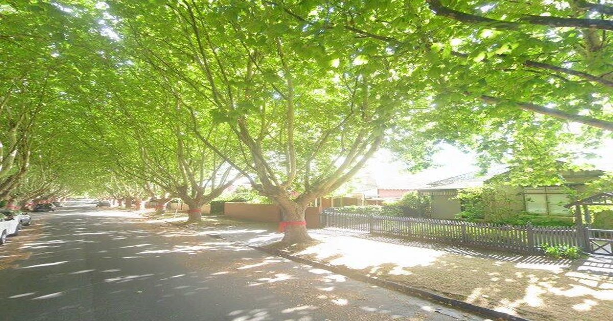 Moving to Malvern East — Practical Guide 2026