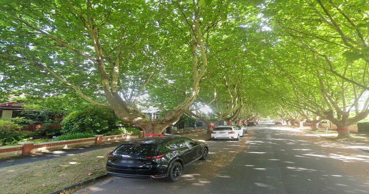 Malvern East Neighbourhood Guide — Streets and Pockets