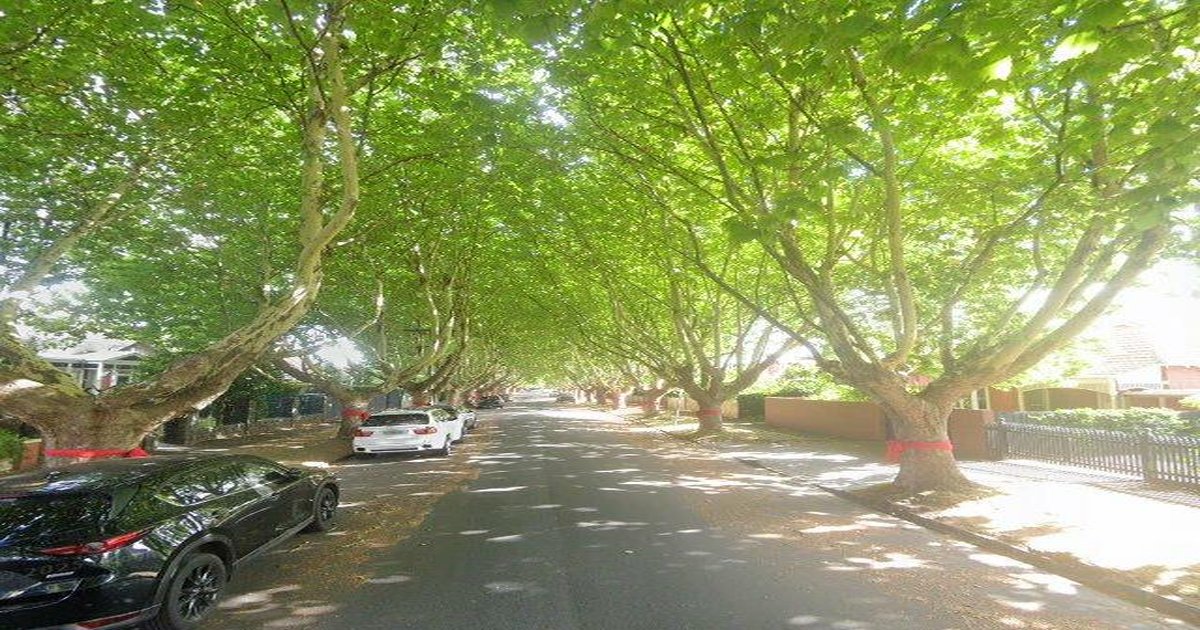 Malvern East Safety Guide — Crime Stats & Real Talk