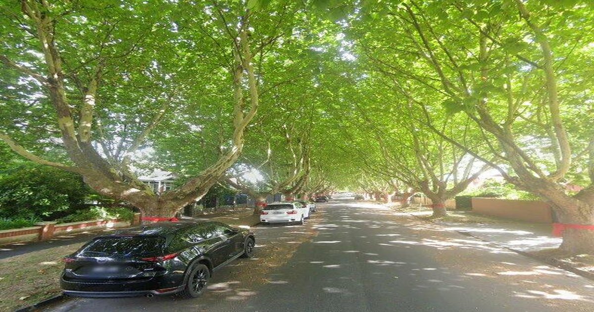 Malvern East for Young Professionals — 2026