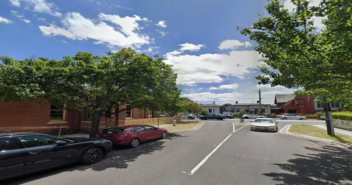 Best Dog Friendly Guide in Malvern Melbourne — 2026 Guide