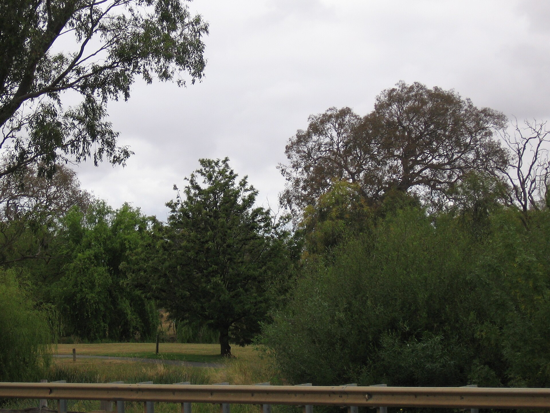 Melton House Prices 2026: Median Data, Trends & Growth Forecast