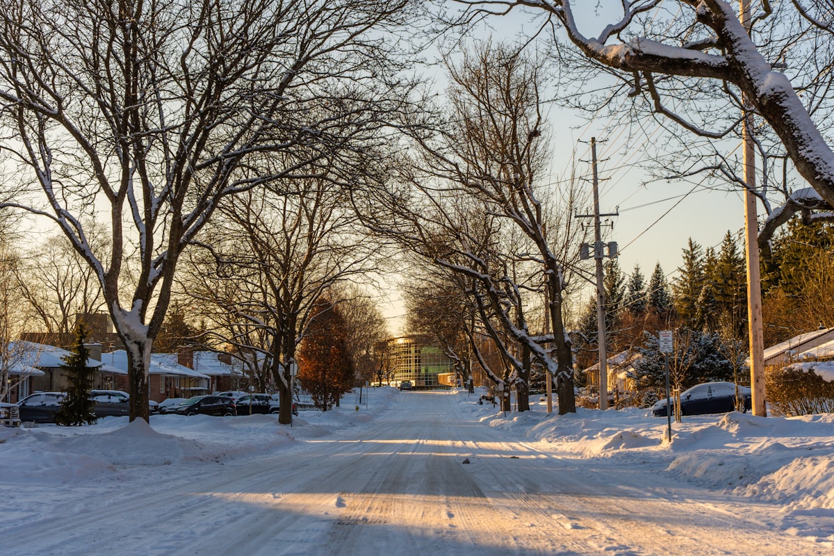 Is Middle Park Safe? Safety Guide (2026)