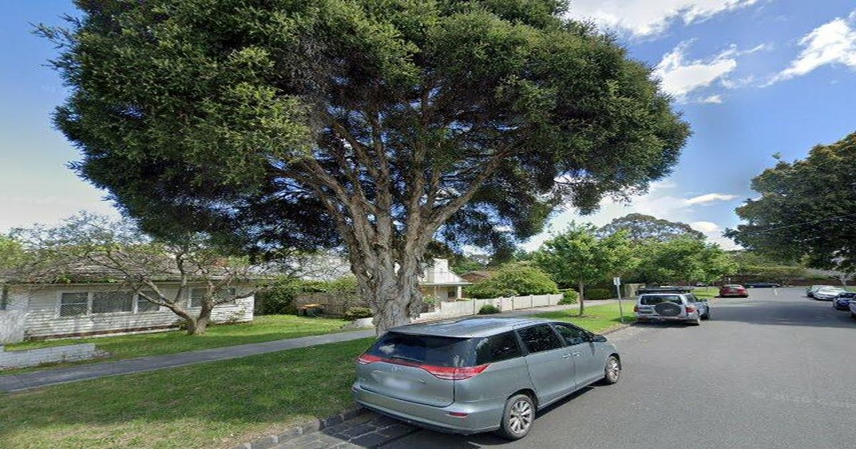 Cost of Living in Mitcham (2026) — Rent, Groceries, Transport