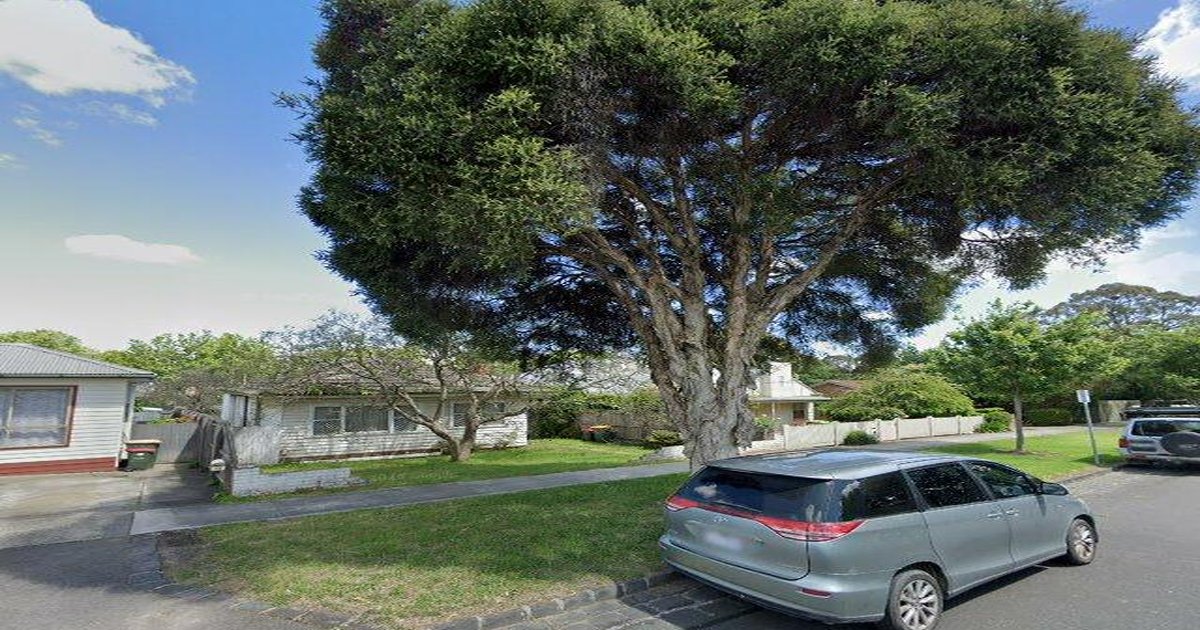 Mitcham Council Services — Everything You Need