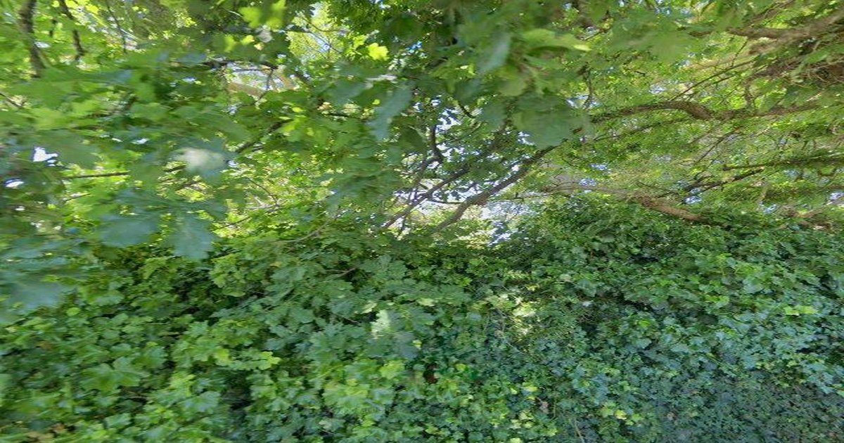 Mitcham Transport Guide (2026) — Trains, Trams, Buses