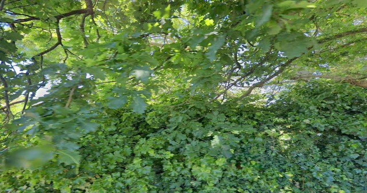 Is Mitcham Good for Young Professionals? (2026)