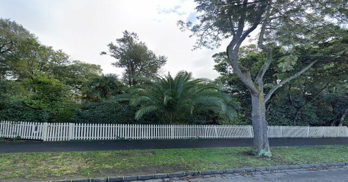 Best Brunch in Mont Albert (2026) — 15 Spots Ranked