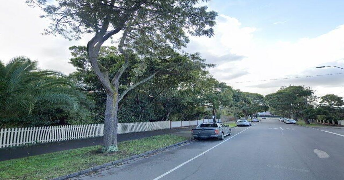 Best Cafes in Mont Albert (2026) — 15 Spots Ranked