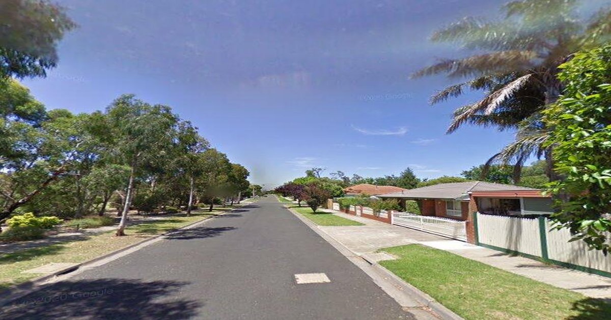 Moorabbin Transport Guide (2026) — Trains, Trams, Buses