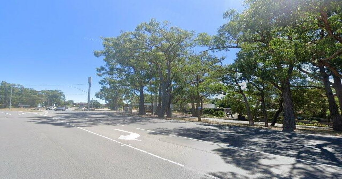 Dog Friendly Guide — Mount Evelyn