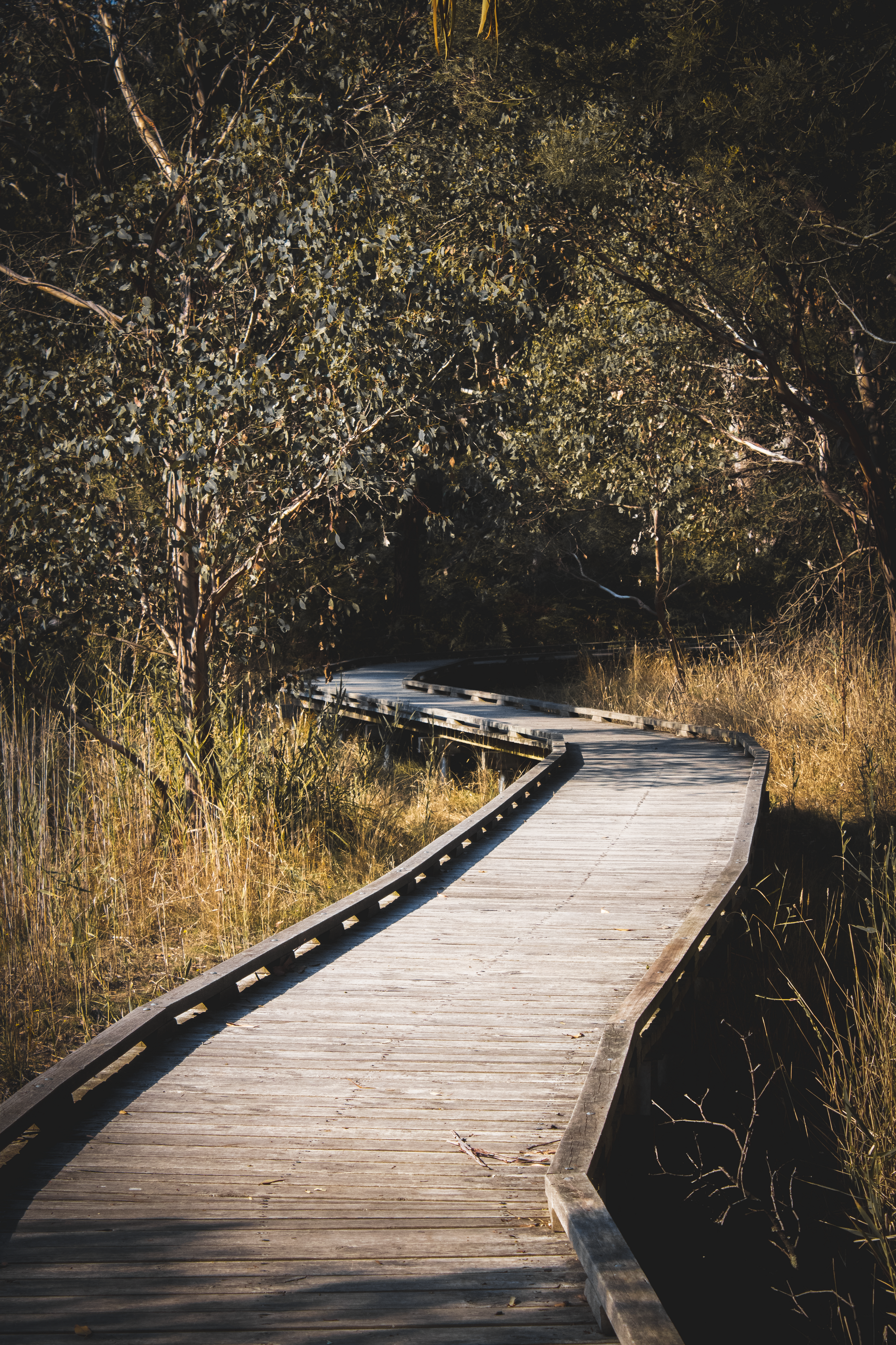 Property Price Predictions for Mount Martha: 2026, 2027, 2028