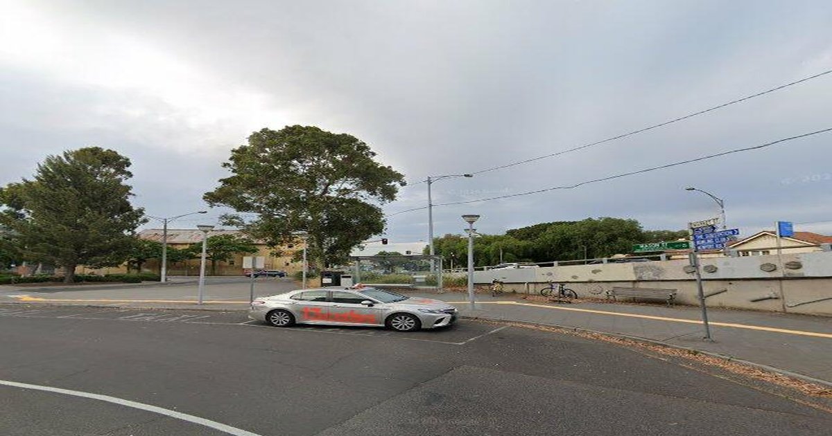 Pet-Friendly Newport (2026) — Dog Parks, Cafes & Vets