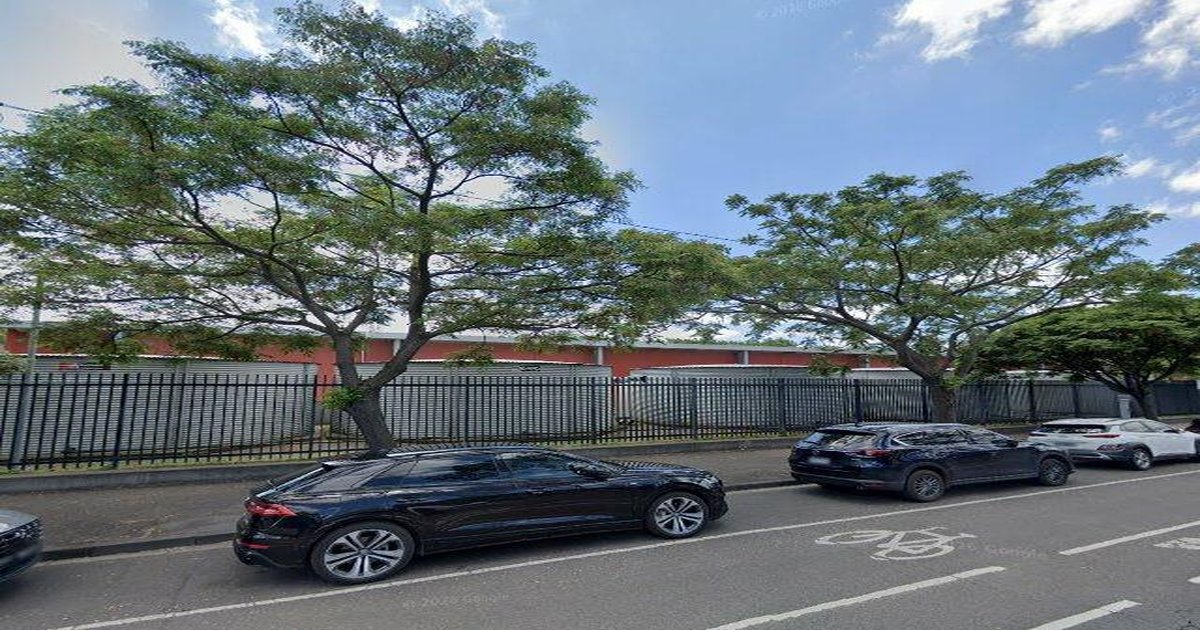 Best Dog Friendly Guide in North Melbourne Melbourne — 2026 Guide