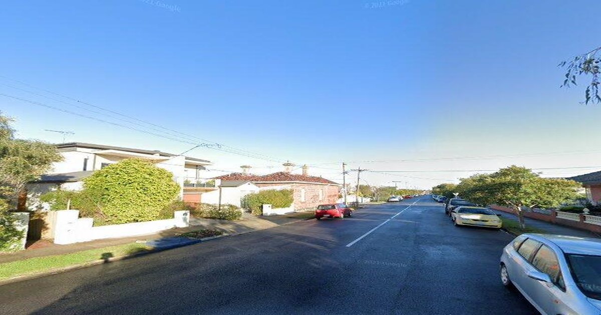 Best Dog Friendly Guide in Northcote Melbourne — 2026 Guide