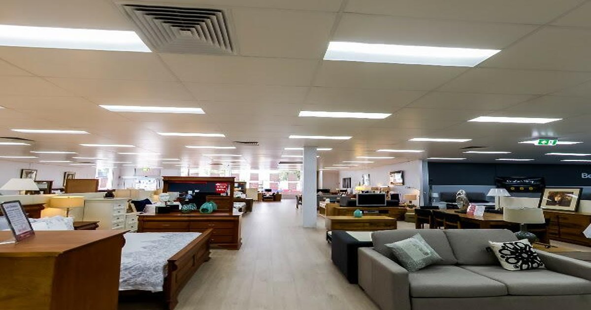 Pet-Friendly Nunawading (2026) — Dog Parks, Cafes & Vets