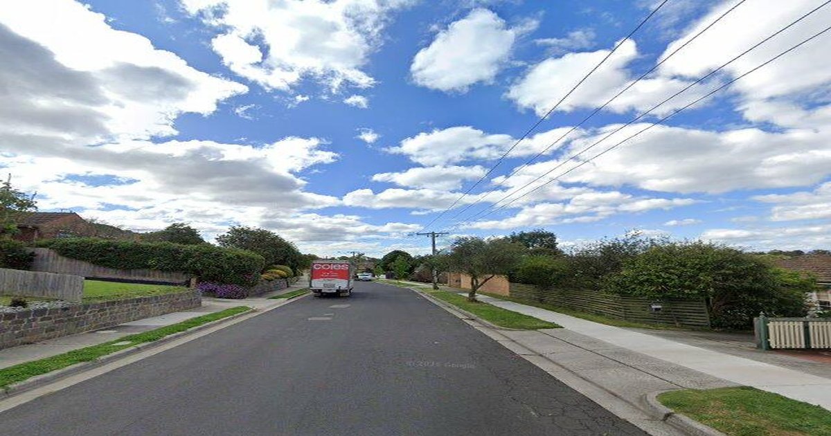 Best Dog Friendly Guide in Oak Park Melbourne — 2026 Guide