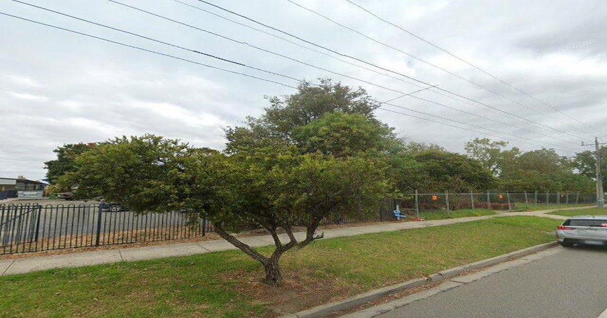 Best Coffee in Officer (2026) — 3 Cafes Rated