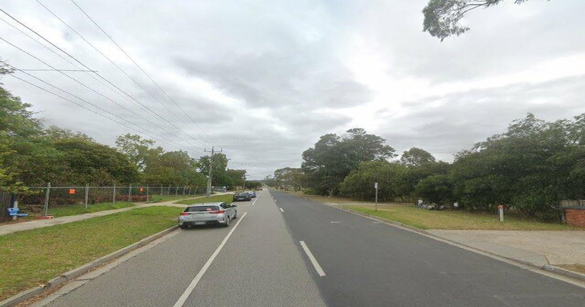 Pet-Friendly Officer (2026) — Dog Parks, Cafes & Vets