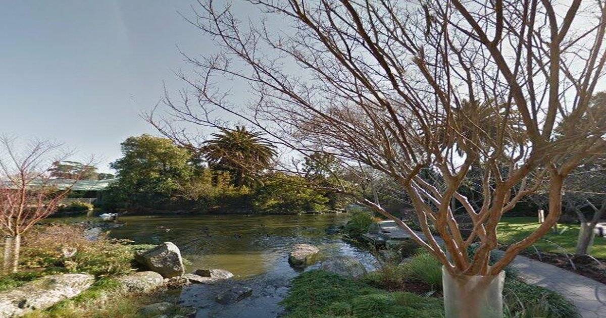 Best Bakeries in Parkville — 2026 Guide