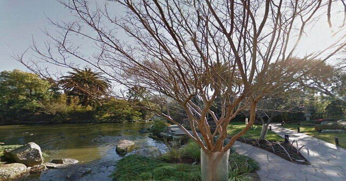 Best Thai Food in Parkville (2026) — 3 Restaurants