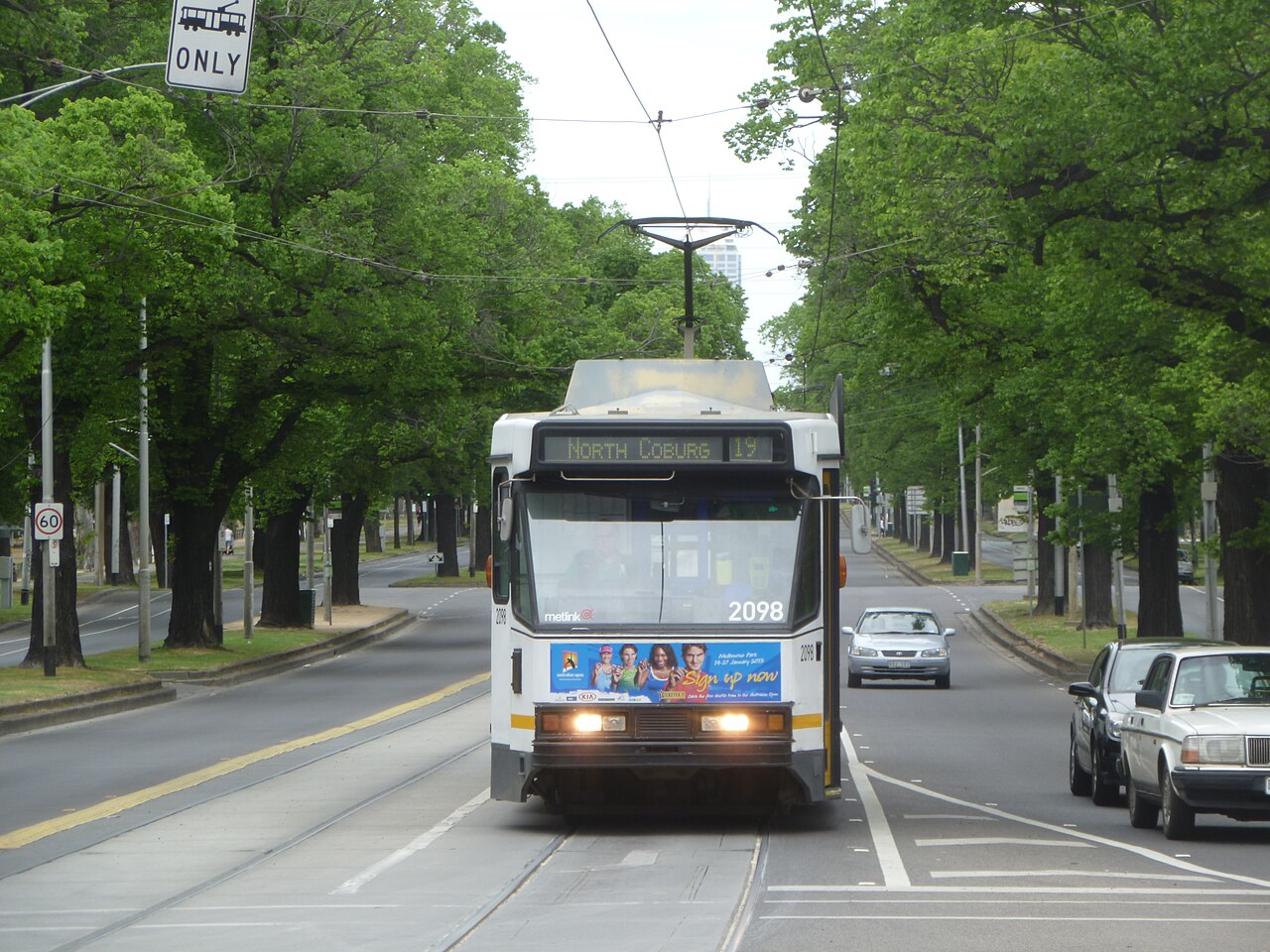 A route 19 tram to North Coburg travelling under the elm trees of Royal Parade, Parkville