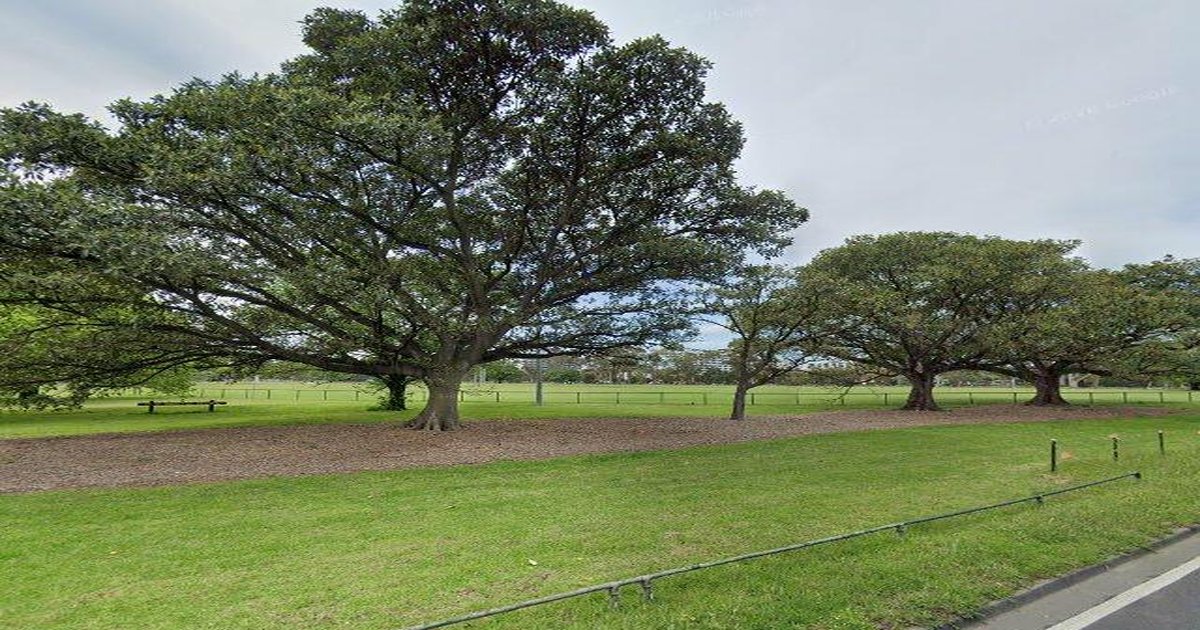 Parkville Council Services — Everything You Need