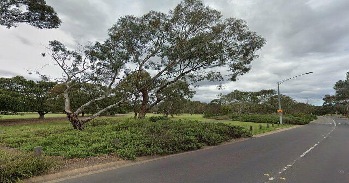 Best Dog Friendly Guide in Parkville Melbourne — 2026 Guide