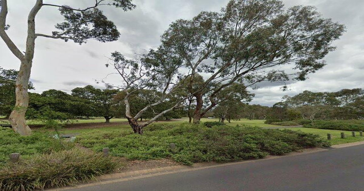 Is Parkville Good for Families? Schools, Parks & Safety (2026)