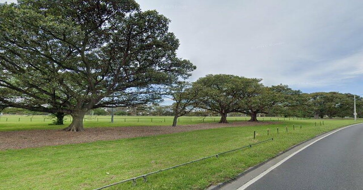 Libraries in Parkville — Beyond Books