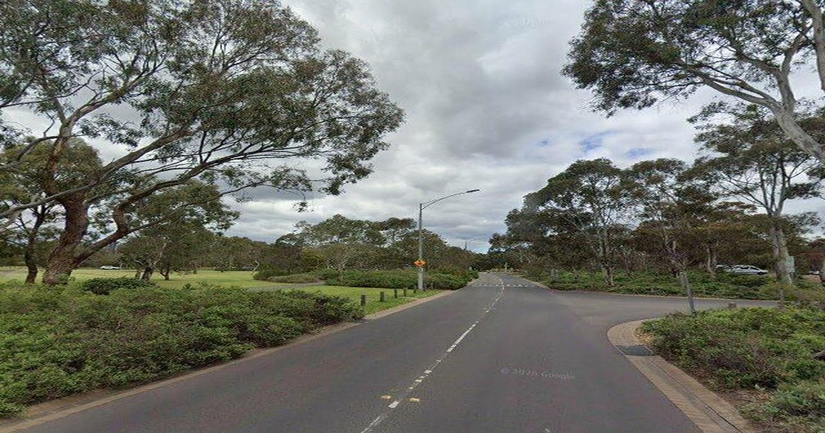 Pet-Friendly Parkville (2026) — Dog Parks, Cafes & Vets